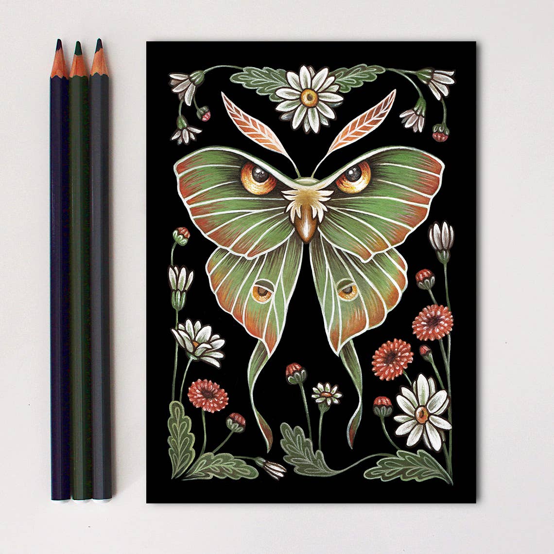 Moth Art Print Folk Decor: 5x7